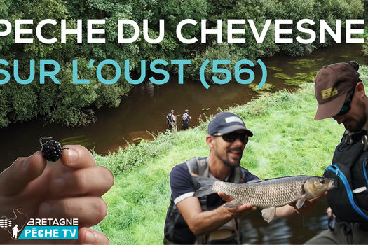 Vidéo : Pêche du Chevesne !