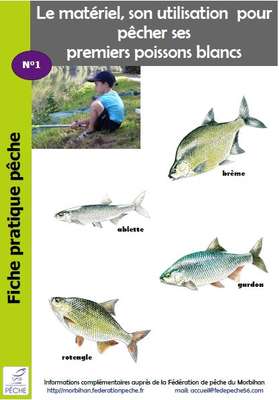 Les poissons blancs - Fédération de pêche des Bouches du Rhône