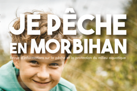 Revue 2026 - Disponible