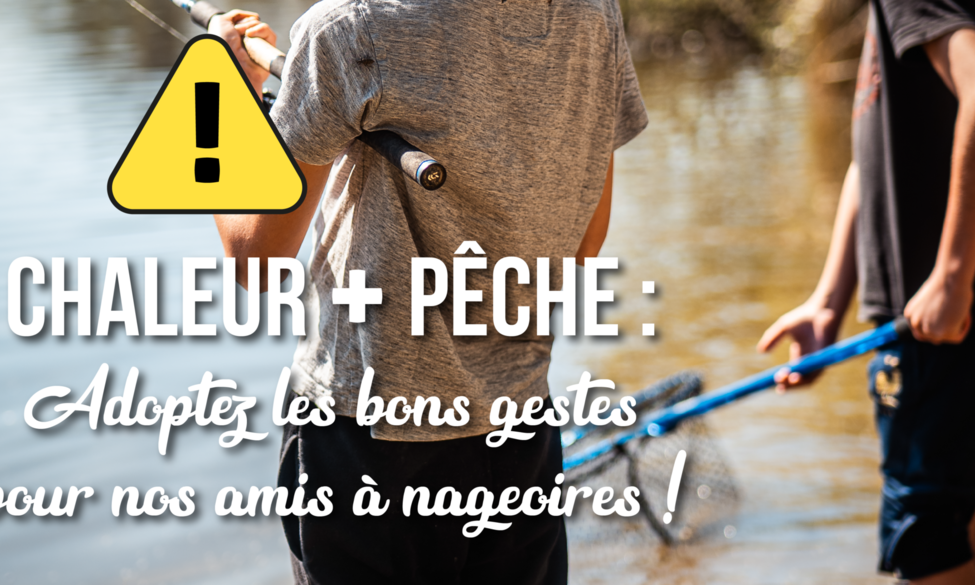 Chaleur + Pêche