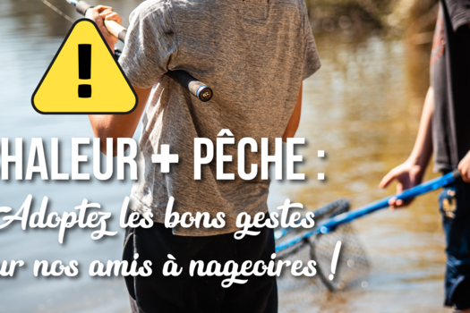 Chaleur + Pêche