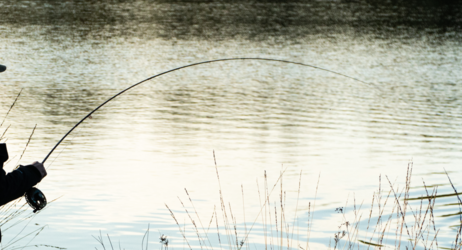 STAGE PÊCHE N°19 - Pêche à la mouche en réservoir