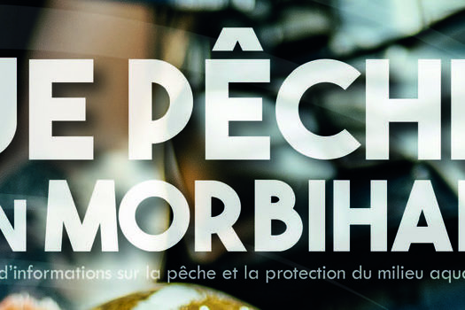 Revue 2025 - Disponible en téléchargement