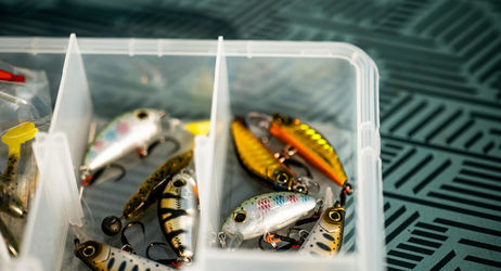 STAGE PÊCHE - Pêche en rivière multi-poissons