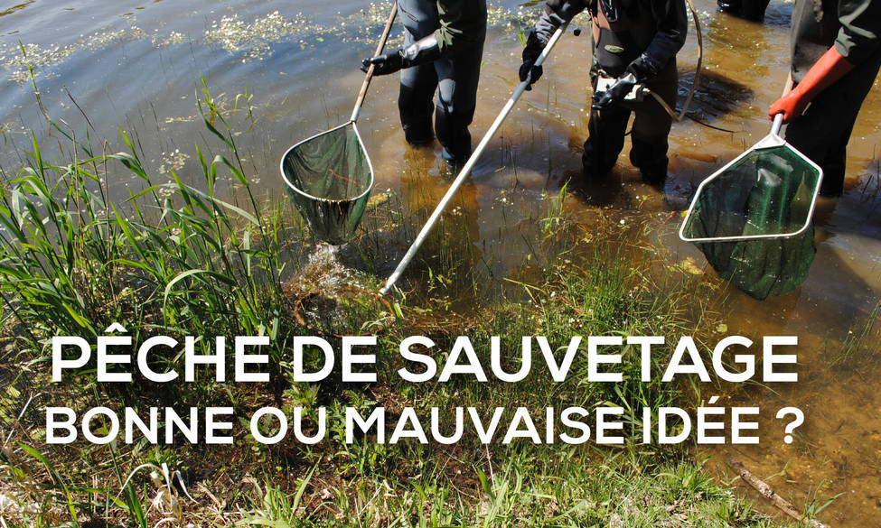 Pêche de sauvetage