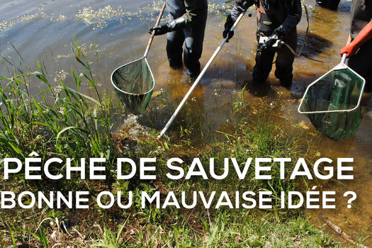 Pêche de sauvetage