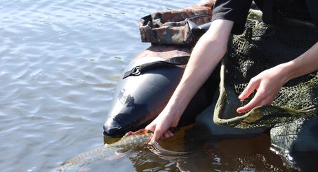 STAGE PÊCHE N°6 - Peche des Canassiers en Float-tube