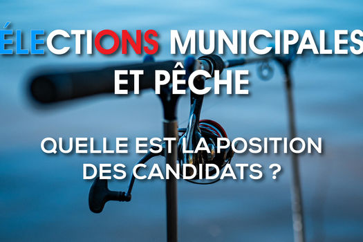 Élections municipales et pêche